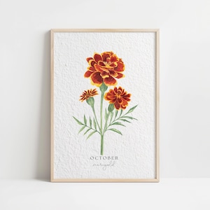 Acuarela, caléndula, mes de nacimiento de octubre, impresión artística floral vintage, decoración minimalista para el hogar, póster de pared con ilustración botánica