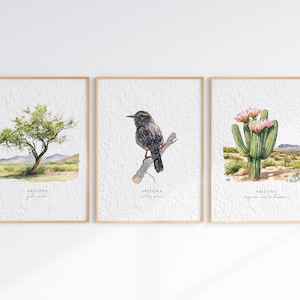 Arizona State Symbole Aquarell Wand Kunst Dekor 3er Set, State Bird Kaktus Zaunkönig, Blume Saguaro Kaktus Blüte, Baum Palo Verde Poster