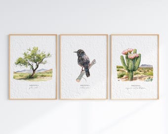 アリゾナ州の鳥の水彩画アートプリント | サボテンミソサザイとサワロ