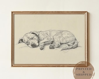 May include: A framed charcoal-style sketch on a light beige background depicting a dog curled up and sleeping. The artwork is enclosed in a thin, metallic gold-toned frame. The drawing captures the dog in a resting position with its head tucked.