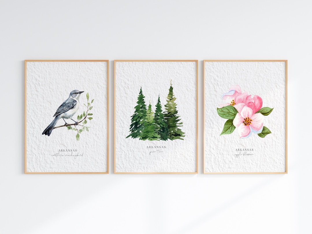 Arkansas State Symbols Watercolor Wall Art Decor Set of 3, Northern ...