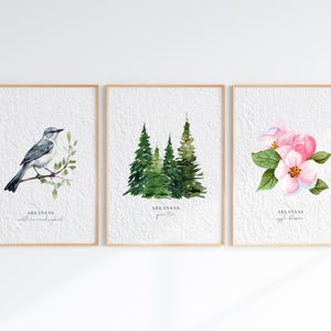 Juego de 3 impresiones de acuarela con símbolos del estado de Arkansas: sinsonte del norte, flor de manzano y póster con estampado de pino.