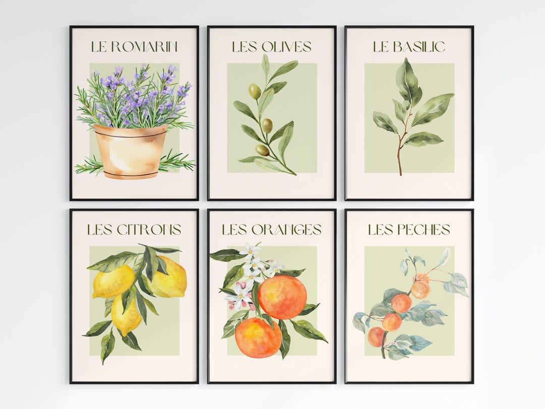 Set of 6 Kitchen Fruit and Herbs Illustration Wall Art Print, Botanical ...