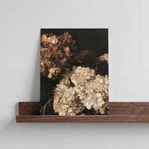 May include: A rectangular wall art print featuring a dark, moody floral arrangement of hydrangea blossoms in shades of cream, beige, and deep brown against a black background, capturing a still life composition with soft, layered petals.