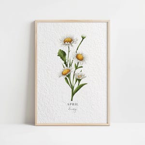 Impresión artística floral vintage con acuarela, margarita del mes de nacimiento de abril, decoración minimalista para el hogar, póster de pared con ilustración botánica