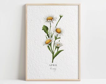 Puede incluir: Una impresión enmarcada con una ilustración de acuarela de margaritas blancas con centros amarillos. La impresión tiene el texto "APRIL" y "daisy" en letras negras.