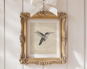 May include: A framed hummingbird art print with a gold ornate frame and a white satin bow. The print features a detailed black and white illustration of a hummingbird in flight against a neutral background. The frame is approximately 12 inches by 10 inches.