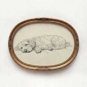 May include: An oval, gold-coloured framed print of a sleeping dog. The dog is a light colour, possibly a poodle mix, and is lying down with its eyes closed. The frame has ornate detailing.