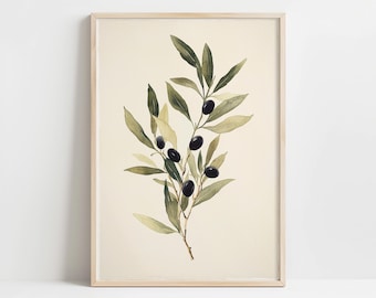 Vintage Olives Illustration Wall Art Print, Herb Kitchen Print, Botanical Printable, Kitchen Decor, Dining Room Decor, Farmhouse Wall Art