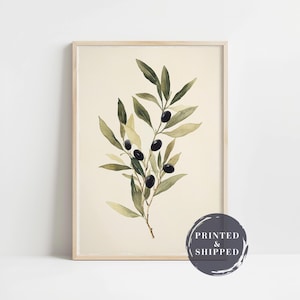 Op de afbeelding: Een ingelijste kunstdruk met een aquarelillustratie van een olijftak met zwarte olijven en groene bladeren op een crèmekleurige achtergrond. Een cirkelvormige donkergrijze stempel rechtsonder bevat de tekst PRINTED & SHIPPED.