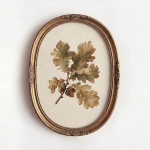 Väggkonsttryck av eklöv, vintage botanisk illustration, affisch med ekollongren, neutral höstdekor, Cottagecore Nature Gallery Art