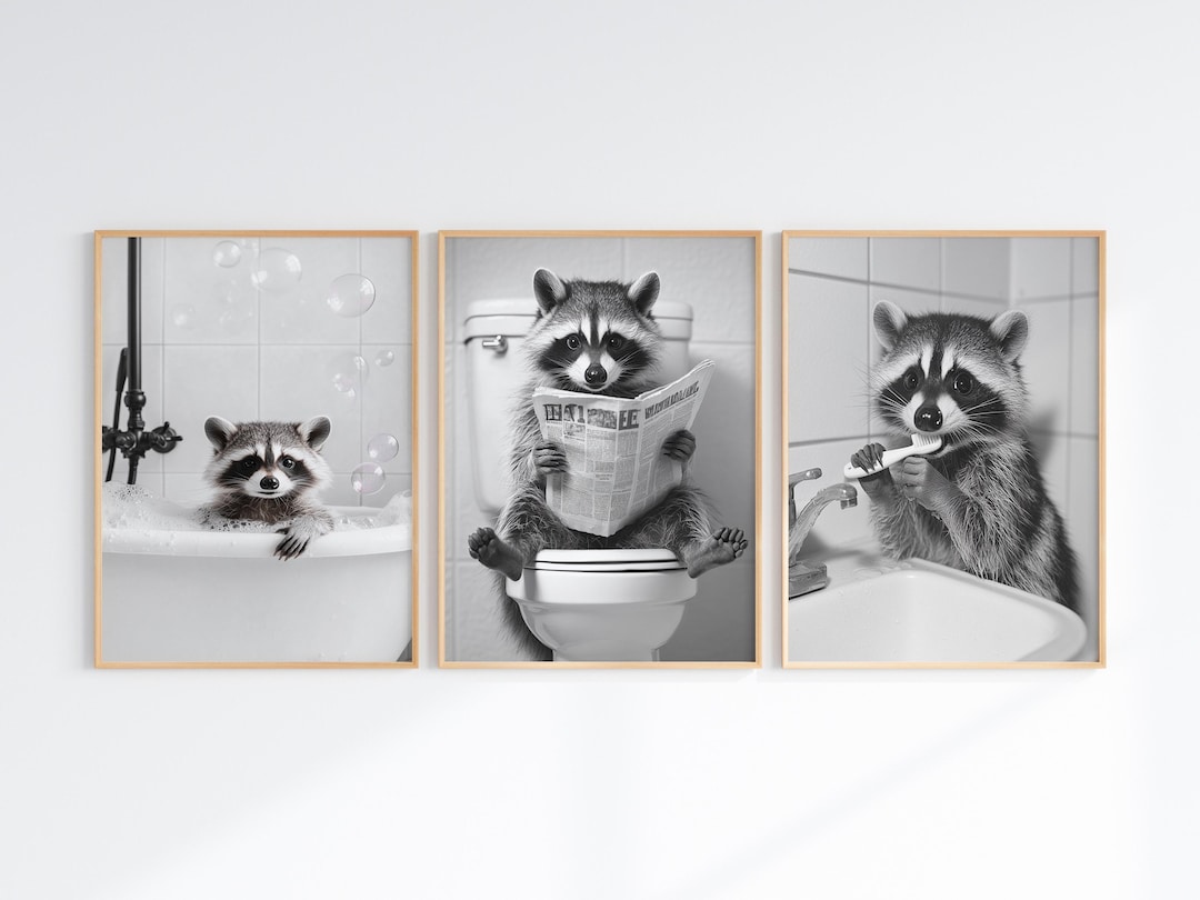 Set of 3 Funny Raccoon Bathroom Wall Art Prints, Black and White Cute ...