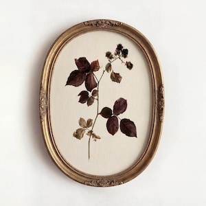 Könnte beinhalten: Ein ovaler, verzierter goldener Rahmen mit einer botanischen Illustration eines Brombeerzweigs. Der Zweig zeigt dunkelviolett-braune Blätter und kleine, texturierte dunkle Beeren vor einem schlichten, cremeweißen, strukturierten Papierhintergrund.