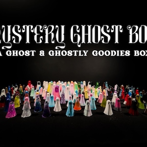 Mystery Ghost Box - Random Phantom Box - Adopt a Ghost Box - Surprise Ghost Box