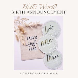 Ensemble de disques acryliques mensuels pour bébé, cadeau de grossesse, cartes d'étape pour baby shower, cadeau pour nouvelle maman, accessoire photo pour bébé, signe de grossesse pour la première fois