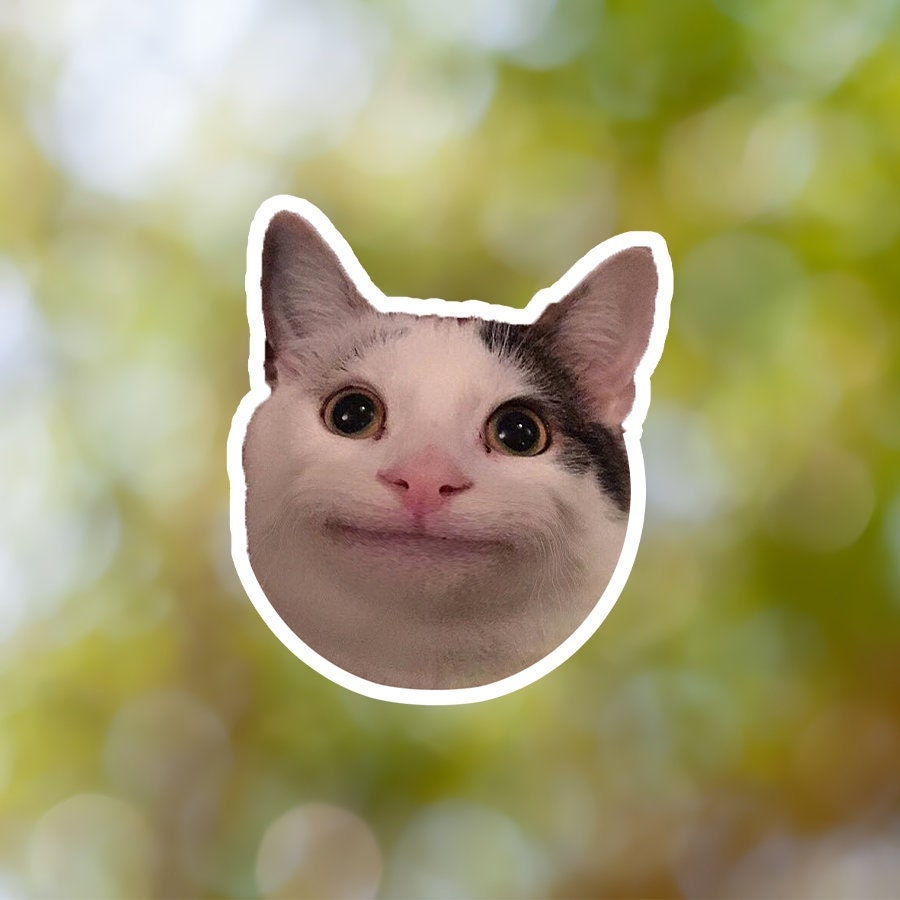 Big Floppa Meme Cat T-Shirt  Funny animals, Cute cats, Cat memes