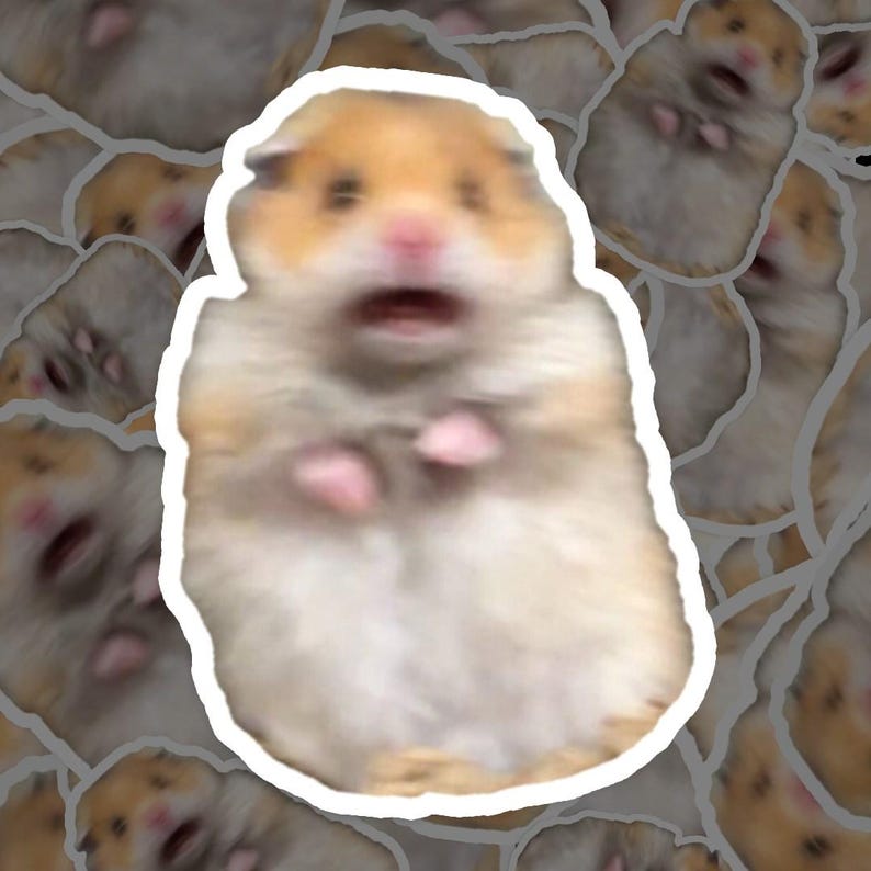 May include: A close-up of a hamster with a surprised expression, its mouth open and its eyes wide. The hamster is blurred and appears to be moving quickly.