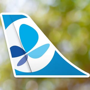 May include: A blue and white airplane tail fin with a stylized flower design. The flower has four petals in shades of blue.