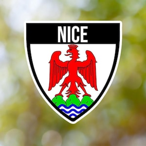 Adesivo carino Shield impermeabile per laptop, auto, libro, bottiglia d'acqua, casco, cassetta degli attrezzi