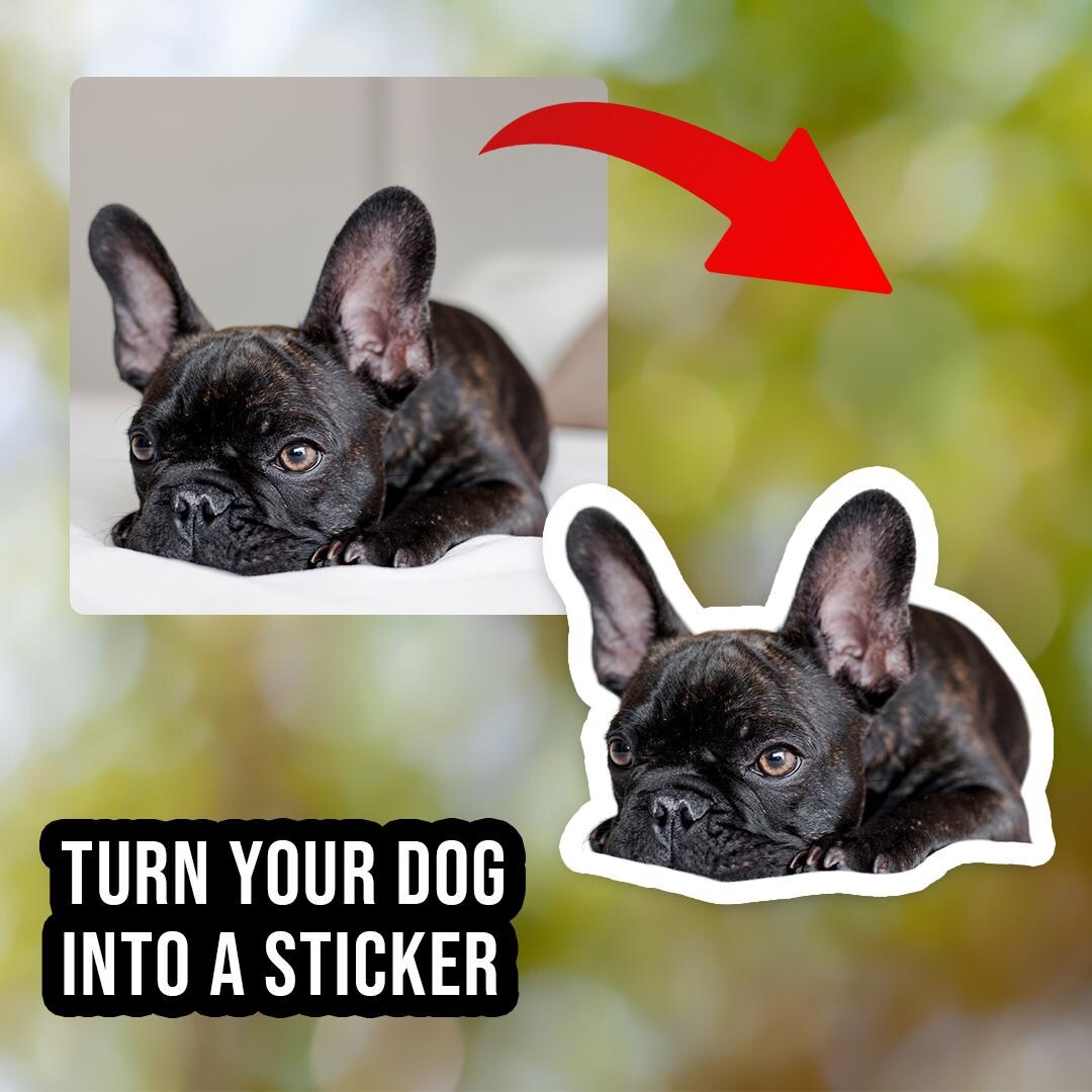 Custom Dog Sticker, Dog Decal Waterproof for Laptop, Car, Book, Water ...