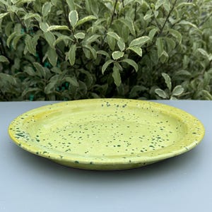 May include: A round, pale green ceramic plate with a speckled pattern. The plate has a slightly raised edge and a smooth surface. The plate is suitable for serving food. The background features green foliage.