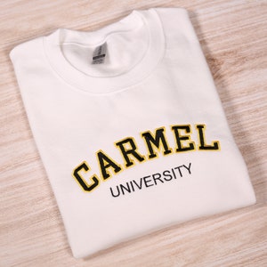 Custom Embroidered University Sweatshirt, Personalized Varsity Embroidery Hoodie, Custom School Team Outfit, Custom College Clothing Gifts