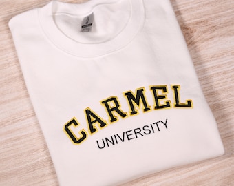 Personalisiertes besticktes Universitäts-Sweatshirt, personalisierter Varsity-Stickerei-Hoodie, benutzerdefinierte Schul-Team-Outfit, benutzerdefinierte College-Kleidungsgeschenke