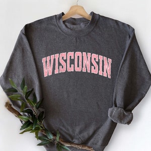 Wisconsin Sweatshirt, Pink Print Hoodie, Cute Wisconsin Sweater, Wisconsin College Student Gifts, University of Wisconsin Sweatshirt