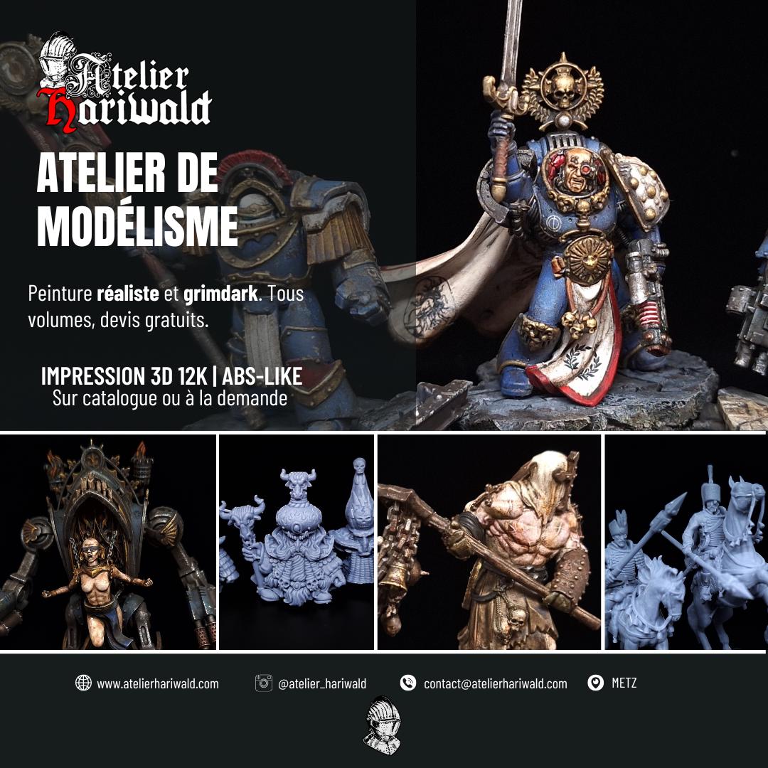 Héros du chapitre Warhammer 40k - Coffret peint sur commande
