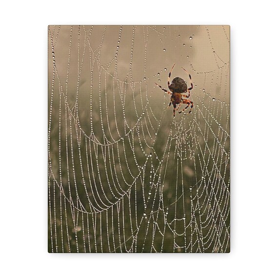 Spider on Dew-soaked Web Canvas Print - Etsy