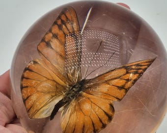 Vintage briefgewicht van lucitehars – met een authentieke geconserveerde oranje vlinder – een bijzonder object.