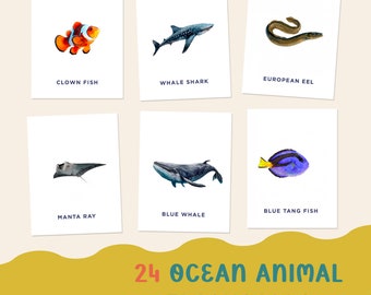 PDF Ocean Animal Flashcards for Kids Custom Watercolor Illustrations | Educational Learning & Independent Play Learn about Fish flash cards