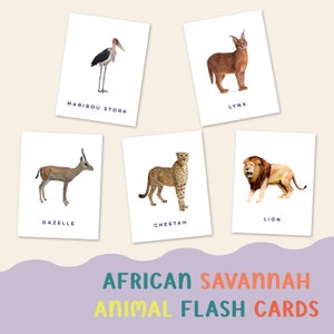 Flashcard sugli animali della savana africana per bambini - Apprendimento della fauna selvatica e gioco indipendente - Carte educative della giungla - Esplorazione del safari in età prescolare