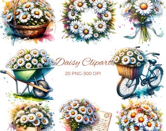 Daisy Clipart Bundle, Watercolor White Flowers PNG, Digital Download, Commercial Use