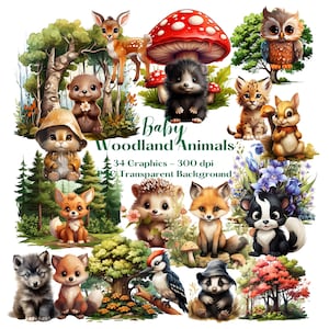 Baby Woodland Animals Clipart Watercolor, Transparent PNG, Nursery Clipart, Commercial Use