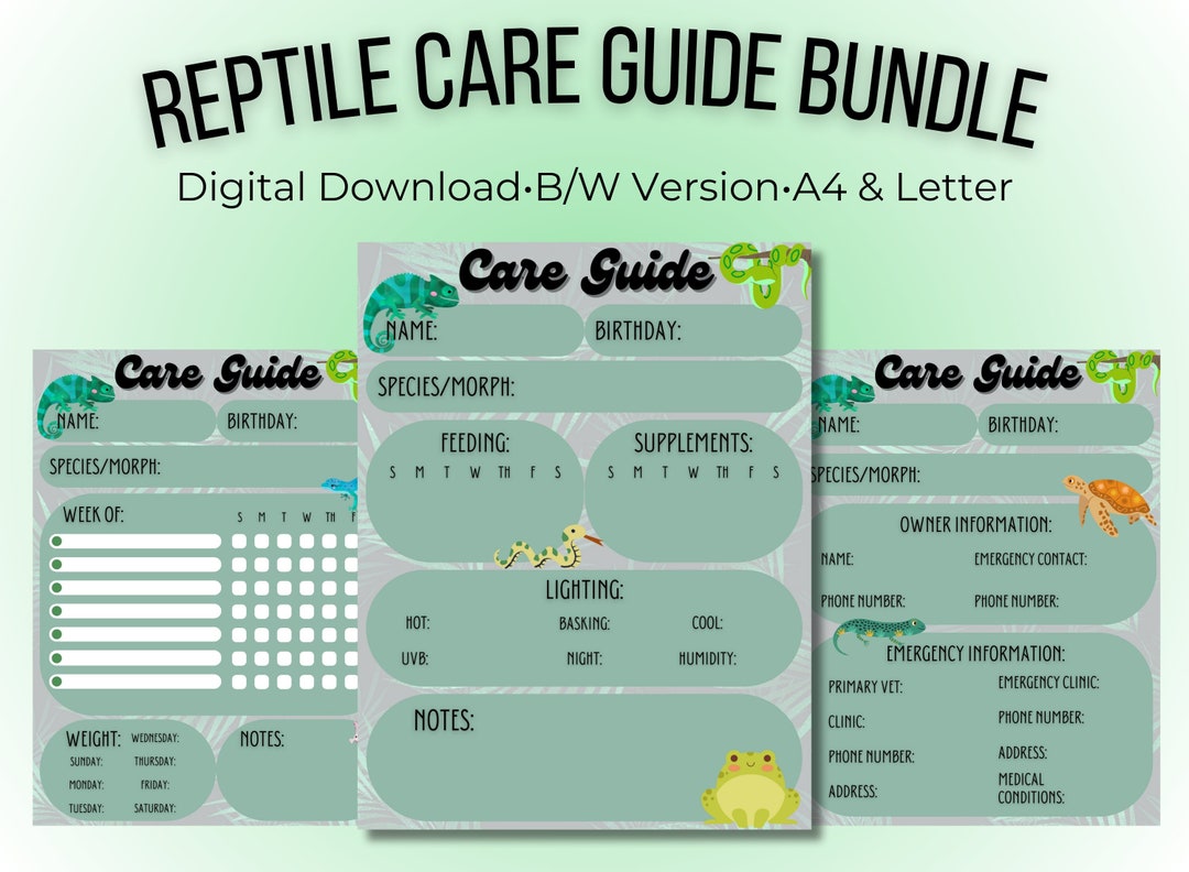 Reptile Care Guide Bundle Digital Download Pet Sitter Etsy Canada