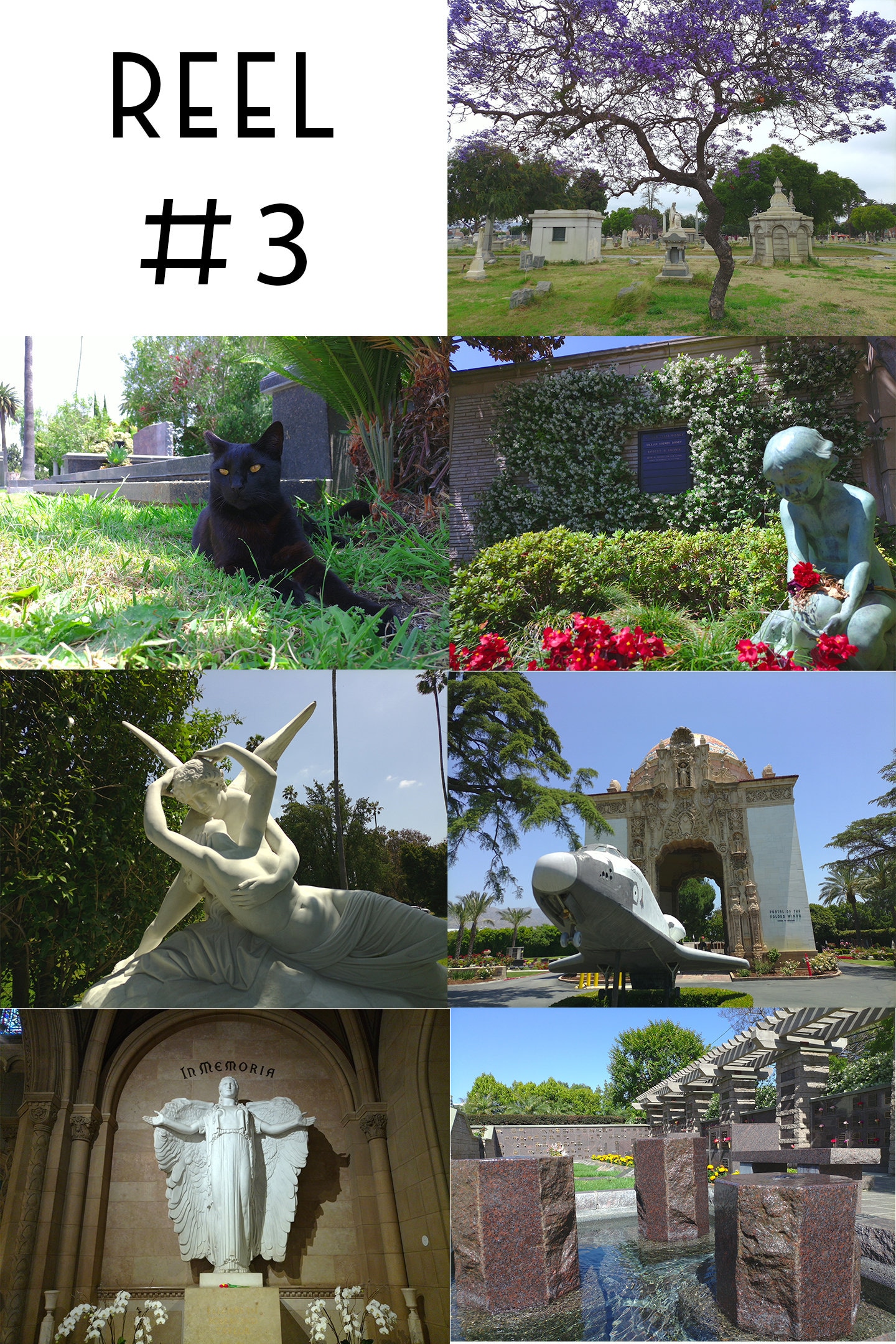 Hollywood Graveyard 3D Retroviewer Reel Etsy hollywood-graveyard-3d-retroviewer-reel-etsy