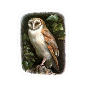 Chouette effraie des cloches autocollant vintage expression de hibou peint argot français pour « grand » sticker cadeau amateurs de hibou francophile cadeau étiquette d'image rétro hibou des bois