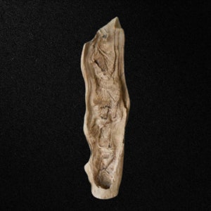 LouisianaCypress Driftwood