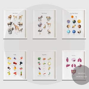 Imprimibles 6 carteles educativos Impresiones de educación en el hogar, Decoración del aula Montessori, Decoración neutral para niños, Decoración de la sala de juegos para niños pequeños, Descarga digital