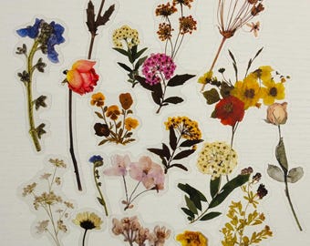 Transparent Pressed Flower Stickers - 20 Pack - Vinyl Decals