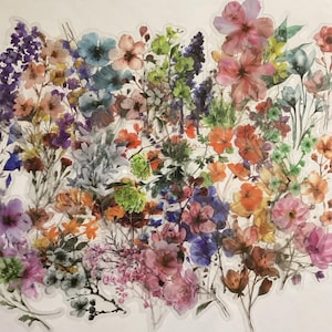 Pegatinas transparentes de flores silvestres para diarios, cartas, decoración, agendas y calendarios (paquete de 50)
