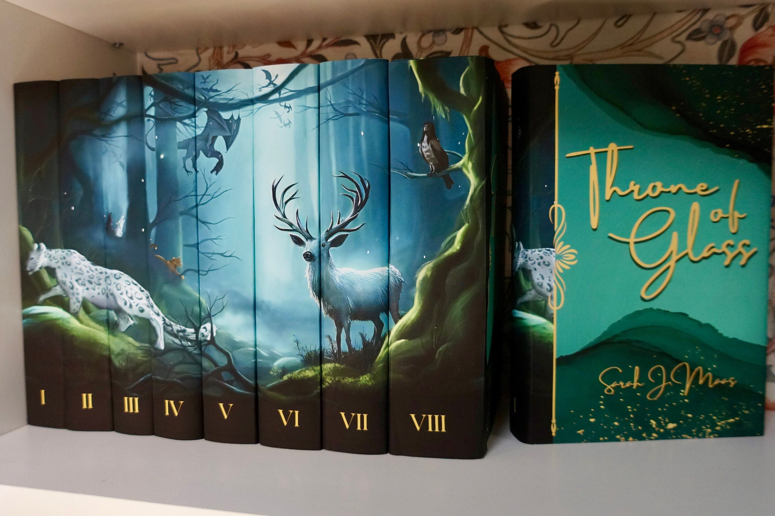 Throne of Glass Paperback Dust Jackets Digital Download Etsy Australia