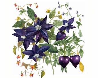 Nightshade Digital Watercolor Print