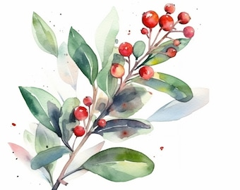 Mistletoe Digital Watercolor print