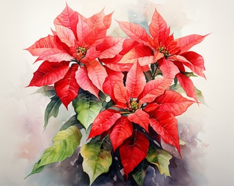 Poinsettia – watercolor – digital print