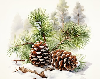 Besneeuwde spar - digitale aquarelprint