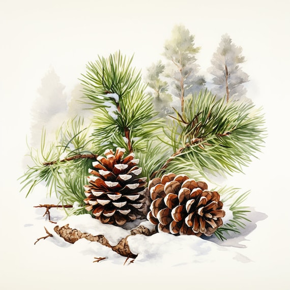 Snowy Spruce - Digital Watercolor Print
