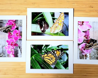 Postales/tarjetas de felicitación: tema de mariposas