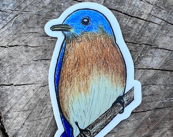 May include: A bluebird sticker with a brown chest and a blue head, perched on a branch.